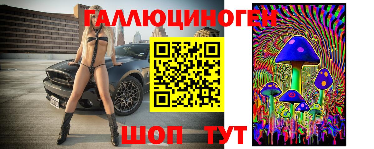 Псилоцибиновые грибы GOLDEN TEACHER  Вход с VPN  Саратов  Галлюциногенные грибы Psilocybine cubensis 