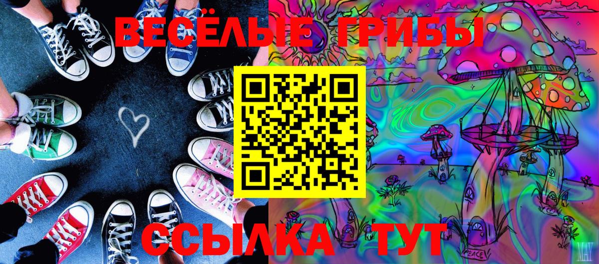 Галлюциногенные грибы Cubensis Саратов